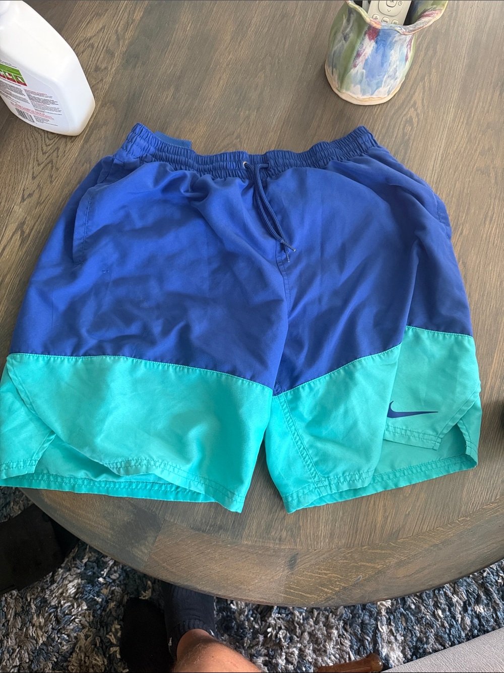 Nike Blue and Teal Colorblock Sports Shorts
